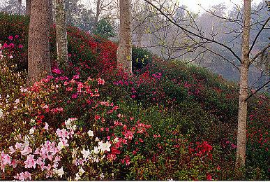 传育碧对《渡神纪》表现感到满意 正在开发续作